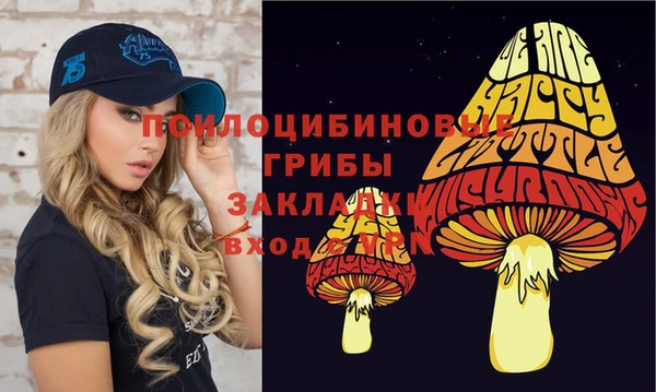 мдма Верхний Тагил