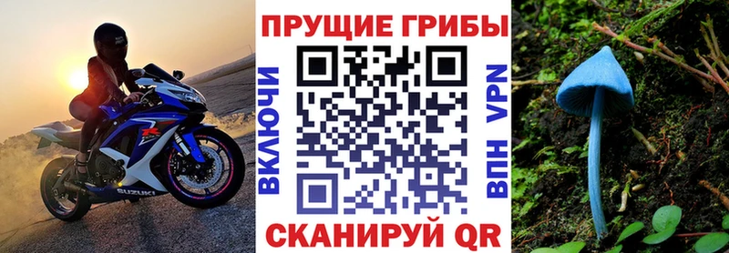 купить наркоту blacksprut зеркало Псилоцибиновые грибы Cubensis Лысково